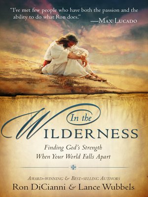 cover image of In the Wilderness
